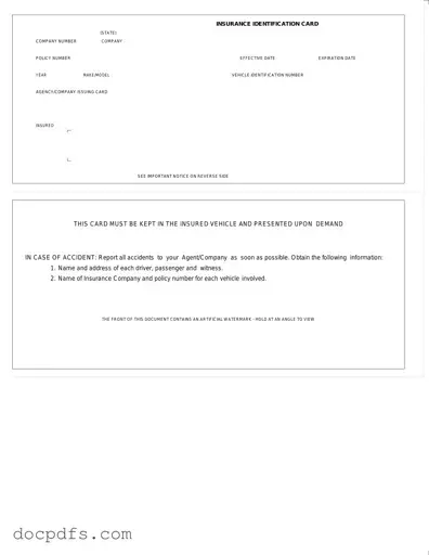 Auto Insurance Card Template in PDF