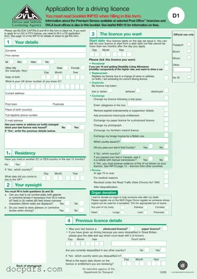 D1 Dvla Template in PDF